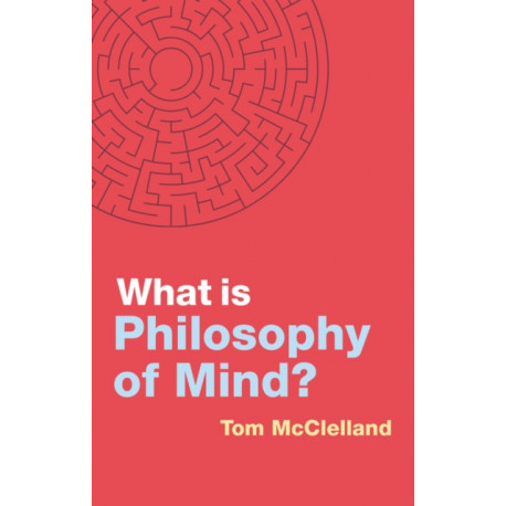 What is Philosophy of Mind?
