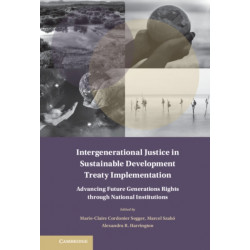 Intergenerational Justice in Sustainable Development Treaty Implementation: Advancing Future Generations Rights through National Institutions