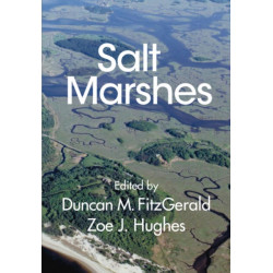 Salt Marshes: Function, Dynamics, and Stresses