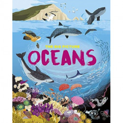 The Big Picture: Oceans