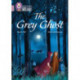 The Grey Ghost: Band 18/Pearl