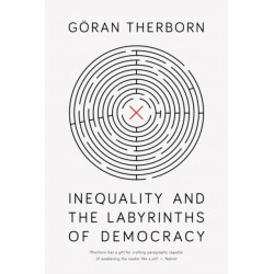 Inequality and the Labyrinths of Democracy