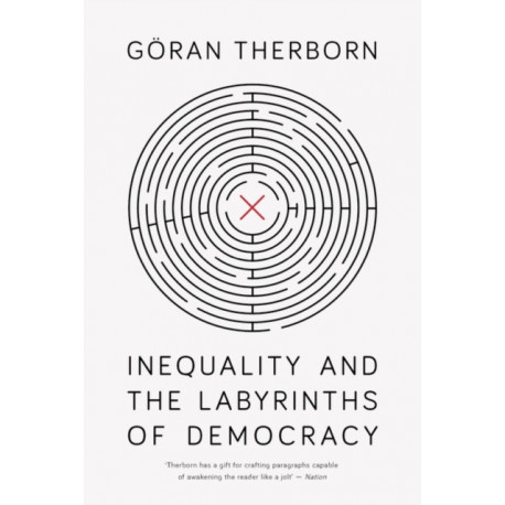 Inequality and the Labyrinths of Democracy