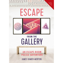 Escape from the Gallery: An Entertaining Art-Based Escape Room Puzzle Experience
