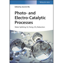 Photo- and Electro-Catalytic Processes: Water Splitting, N2 Fixing, CO2 Reduction