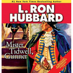 Mister Tidwell, Gunner: A 19th Century Seafaring Saga of War, Self-reliance, and Survival