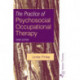 The Practice of Psychosocial Occupational Therapy