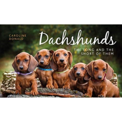 Dachshunds: The Long and the Short of Them