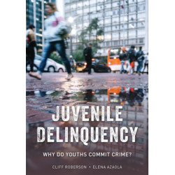 Juvenile Delinquency: Why Do Youths Commit Crime?
