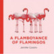 A Flamboyance of Flamingos