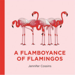 A Flamboyance of Flamingos