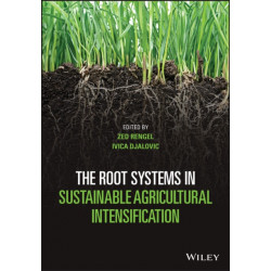 The Root Systems in Sustainable Agricultural Intensification