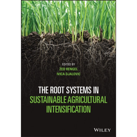 The Root Systems in Sustainable Agricultural Intensification