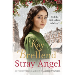 Stray Angel: an absolutely heart-rending Christmas saga