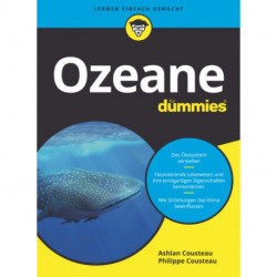 Ozeane fur Dummies