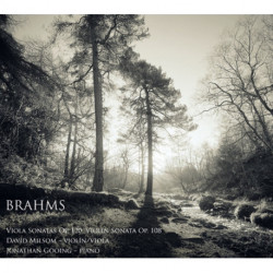 Brahms: Viola Sonatas Op. 120, Violin Sonata Op. 108