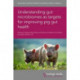 Understanding Gut Microbiomes as Targets for Improving Pig Gut Health