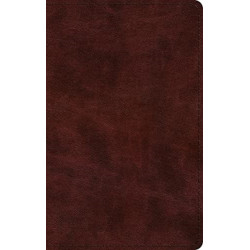 ESV Large Print Thinline Bible