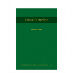 Social Butterflies