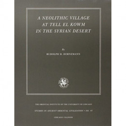 A Neolithic Village at Tell el Kowm in the Syrian Desert