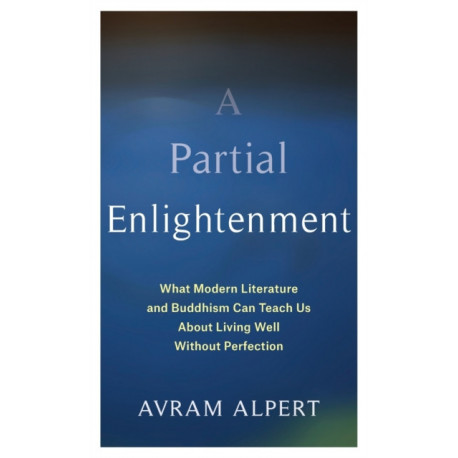 A Partial Enlightenment: What Modern Literature and Buddhism Can Teach Us About Living Well Without Perfection