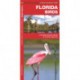 Florida Birds: A Folding Pocket Guide to Familiar Species