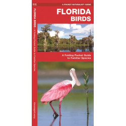 Florida Birds: A Folding Pocket Guide to Familiar Species
