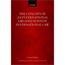 The Concept of an International Organization in International Law
