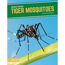Tiger Mosquitoes