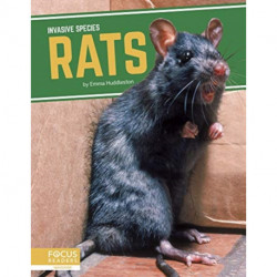 Rats