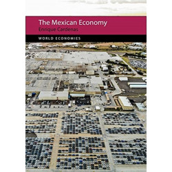 The Mexican Economy