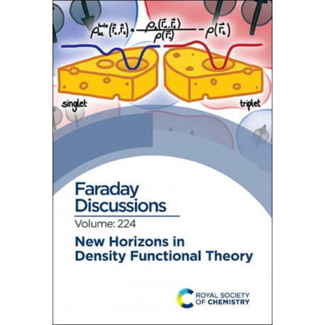 New Horizons in Density Functional Theory: Faraday Discussion 224