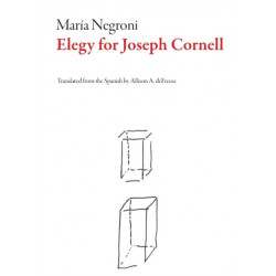 Elegy for Joseph Cornell