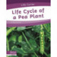 Life Cycle of a Pea Plant