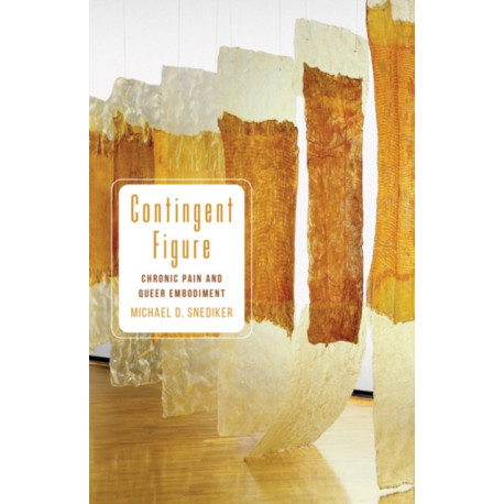 Contingent Figure: Chronic Pain and Queer Embodiment