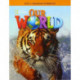 Our World 3: Grammar Workbook (American English)
