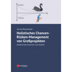 Holistisches Chancen-Risiken-Management von Grossprojekten: Unbekanntes erkennen und handeln