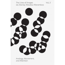 The Lives of Images, Vol. II: Analogy, Attunement, and Attention