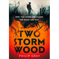 Two Storm Wood: Uncover an unsettling mystery of World War One in the The Times Thriller of the Year