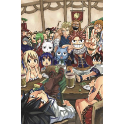 FAIRY TAIL Manga Box Set 5