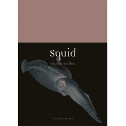 Squid