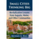 Small Cities Thinking Big: Revitalization Lessons from Augusta, Maine, and Other Communities