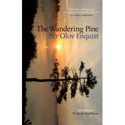 The Wandering Pine: Life as a Novel
