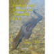 Biology and Ecology of Anguillid Eels