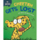 Experiences Matter: Cheetah Gets Lost