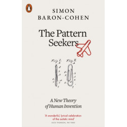 The Pattern Seekers: A New Theory of Human Invention