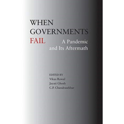 When Governments Fail – A Pandemic and Its Aftermath: A Pandemic and Its Aftermath