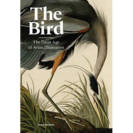 The Bird: The Great Age of Avian Illustration