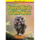 Forest Birds of the West