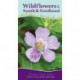 Wildflowers of the South & Southeast: Your Way to Easily Identify Wildflowers
